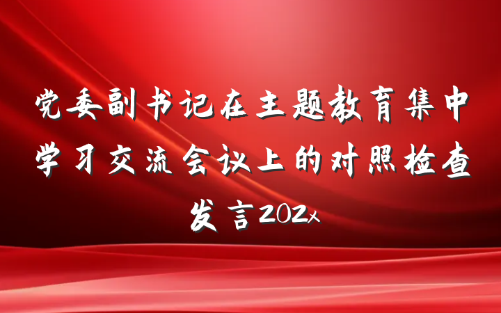 党委副书记在主题教育集中学习交流会议上的对照检查发言202x