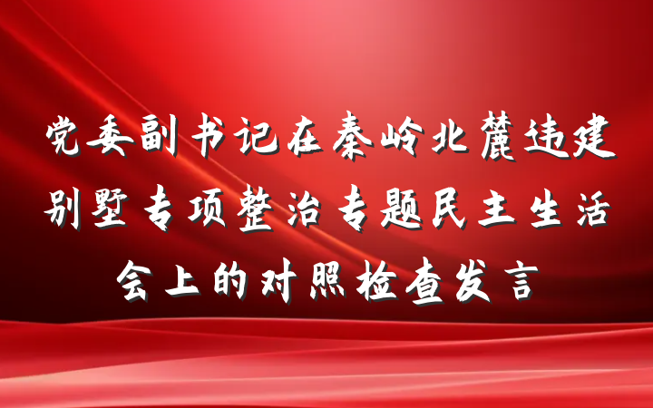 党委副书记在秦岭北麓违建别墅专项整治专题民主生活会上的对照检查发言