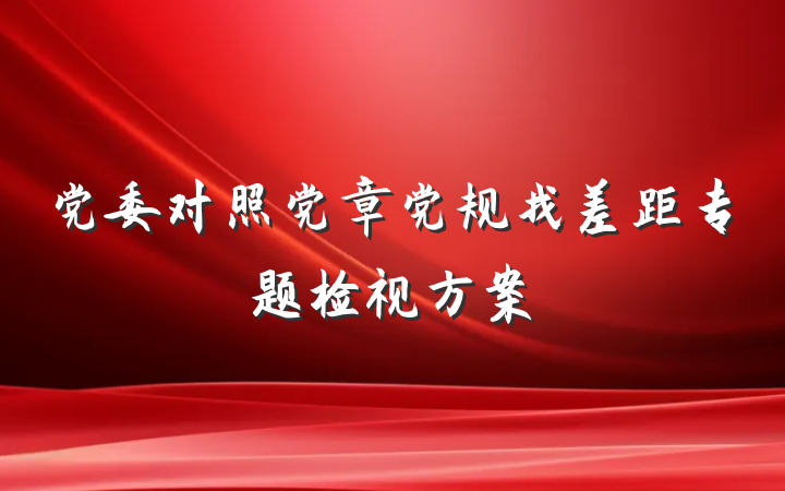 党委对照党章党规找差距专题检视方案