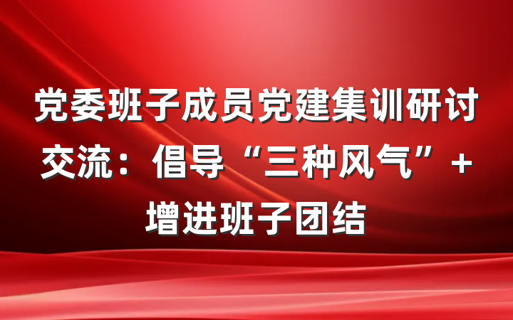 党委班子成员党建集训研讨交流：倡导“三种风气” 增进班子团结