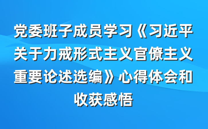 党委班子成员学习《习近平关于力戒形式主义官僚主义重要论述选编》心得体会和收获感悟