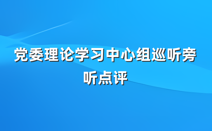 党委理论学习中心组巡听旁听点评
