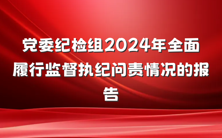 党委纪检组2024年全面履行监督执纪问责情况的报告