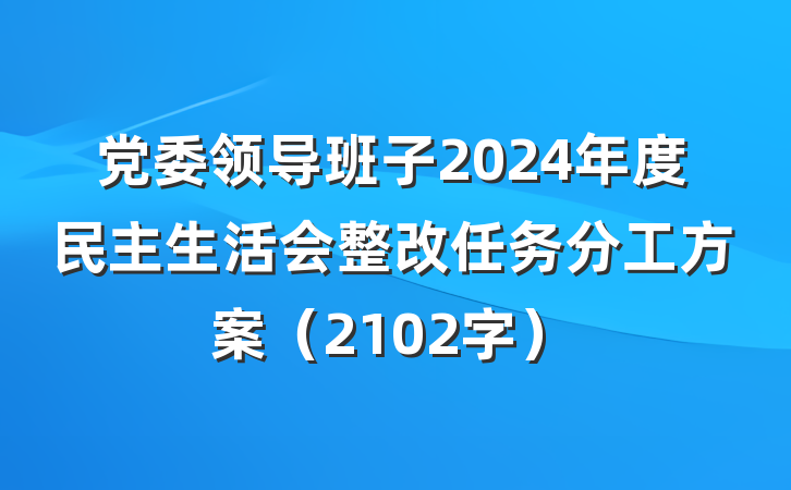 党委领导班子2024年度民主生活会整改任务分工方案（2102字）