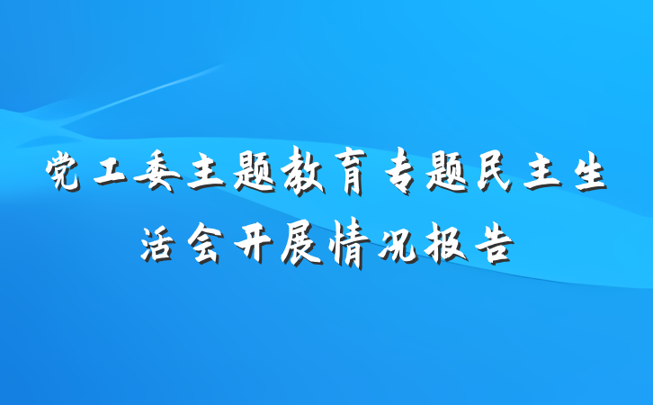 党工委主题教育专题民主生活会开展情况报告