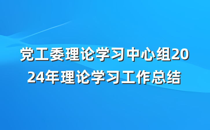 党工委理论学习中心组2024年理论学习工作总结