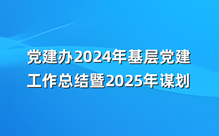 党建办2024年基层党建工作总结暨2025年谋划