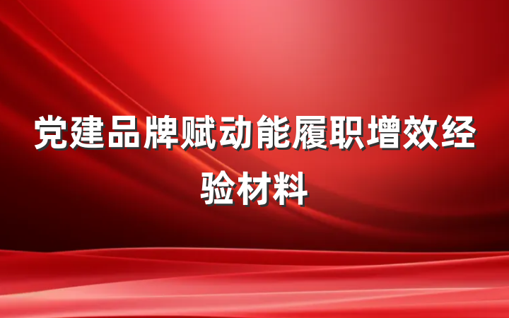 党建品牌赋动能履职增效经验材料