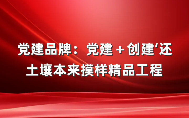 党建品牌：党建＋创建‘还土壤本来摸样精品工程