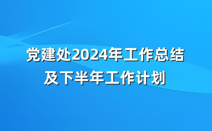 党建处2024年工作总结及下半年工作计划