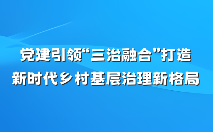 党建引领“三治融合”打造新时代乡村基层治理新格局