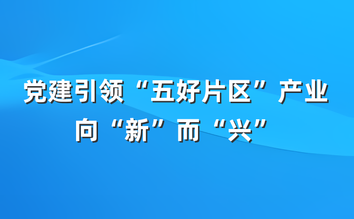 党建引领“五好片区”产业向“新”而“兴”