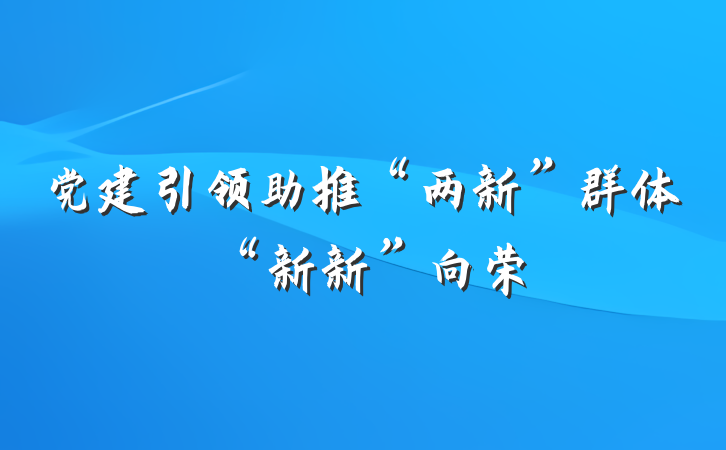 党建引领助推“两新”群体“新新”向荣