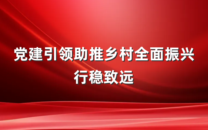 党建引领助推乡村全面振兴行稳致远