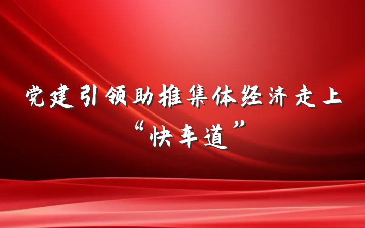 党建引领助推集体经济走上“快车道”