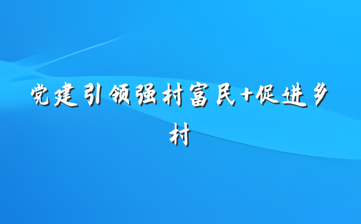 党建引领强村富民 促进乡村