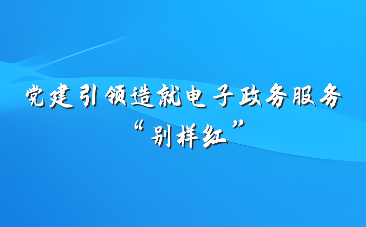 党建引领造就电子政务服务“别样红”