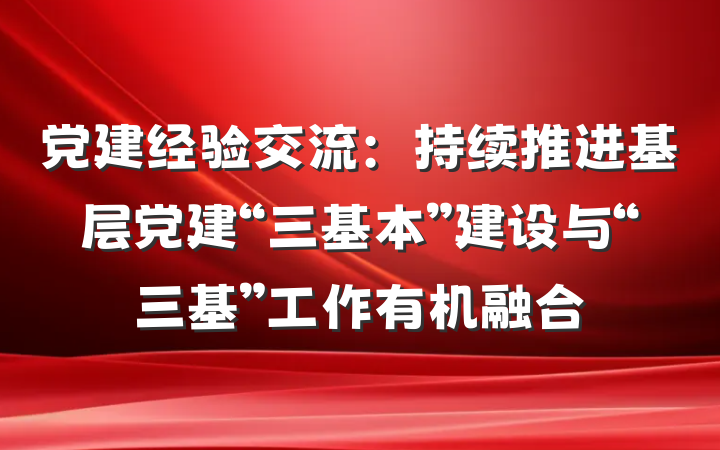 党建经验交流：持续推进基层党建“三基本”建设与“三基”工作有机融合