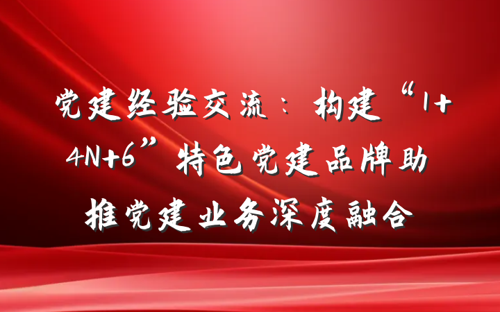 党建经验交流：构建“1+4N+6”特色党建品牌助推党建业务深度融合