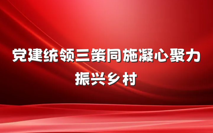 党建统领三策同施凝心聚力振兴乡村