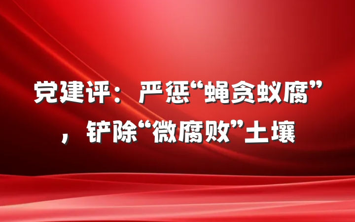 党建评：严惩“蝇贪蚁腐”，铲除“微腐败”土壤