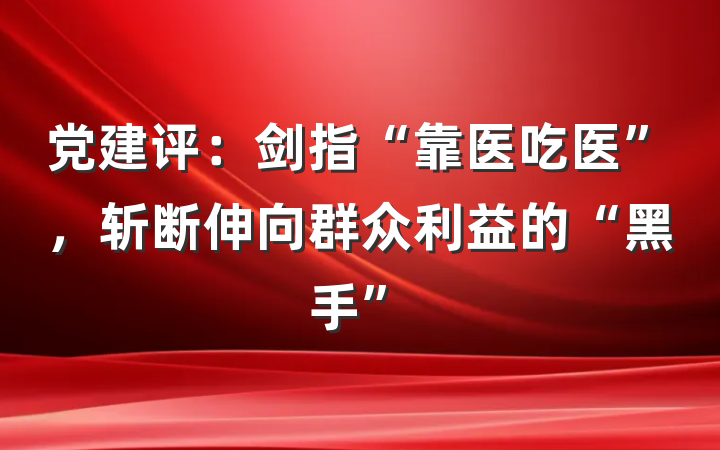 党建评：剑指“靠医吃医”，斩断伸向群众利益的“黑手”
