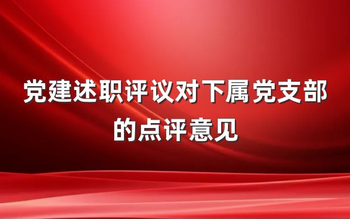 党建述职评议对下属党支部的点评意见