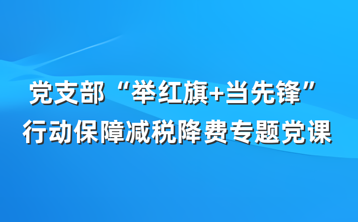 党支部“举红旗 当先锋”行动保障减税降费专题党课