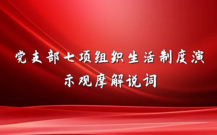 党支部七项组织生活制度演示观摩解说词