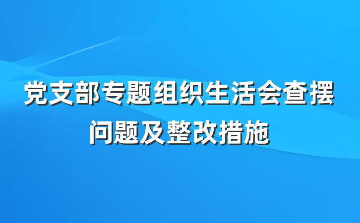 党支部专题组织生活会查摆问题及整改措施