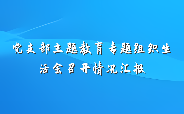 党支部主题教育专题组织生活会召开情况汇报
