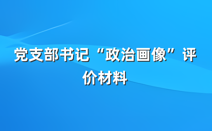 党支部书记“政治画像”评价材料