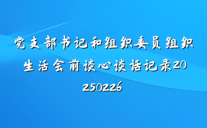 党支部书记和组织委员组织生活会前谈心谈话记录20250226