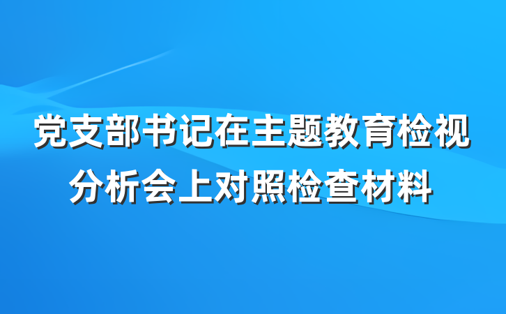 党支部书记在主题教育检视分析会上对照检查材料