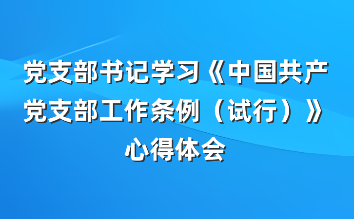 党支部书记学习《中国共产党支部工作条例（试行）》心得体会
