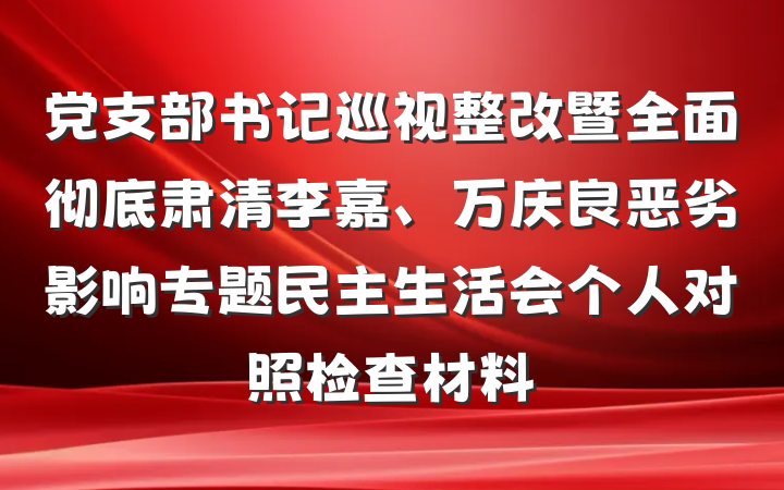 党支部书记巡视整改暨全面彻底肃清李嘉、万庆良恶劣影响专题民主生活会个人对照检查材料