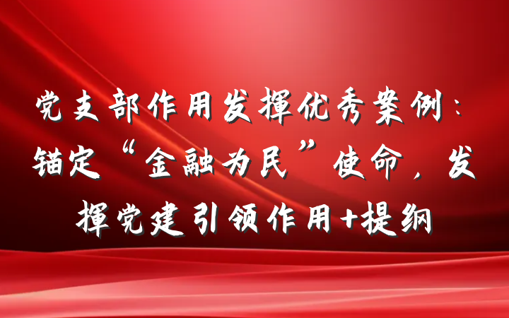 党支部作用发挥优秀案例：锚定“金融为民”使命，发挥党建引领作用 提纲
