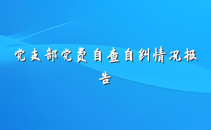 党支部党费自查自纠情况报告