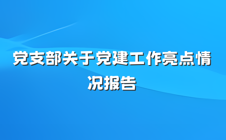 党支部关于党建工作亮点情况报告