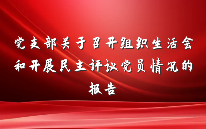 党支部关于召开组织生活会和开展民主评议党员情况的报告