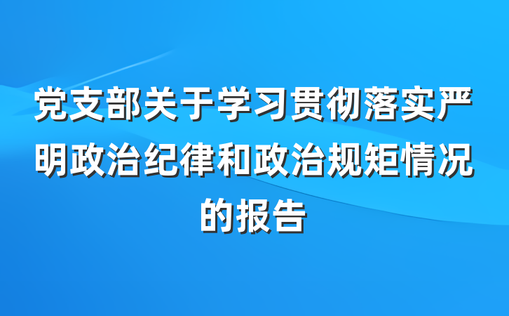 党支部关于学习贯彻落实严明政治纪律和政治规矩情况的报告