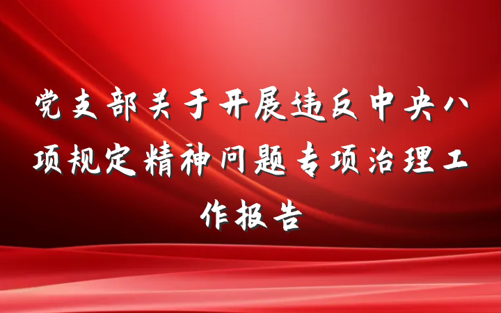 党支部关于开展违反中央八项规定精神问题专项治理工作报告