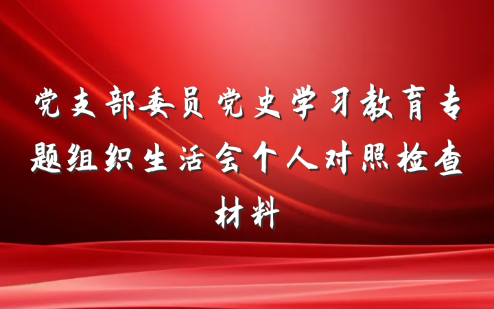 党支部委员党史学习教育专题组织生活会个人对照检查材料
