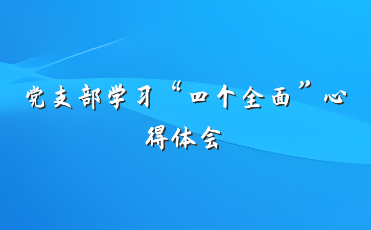 党支部学习“四个全面”心得体会