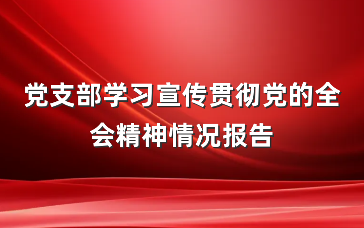 党支部学习宣传贯彻党的全会精神情况报告