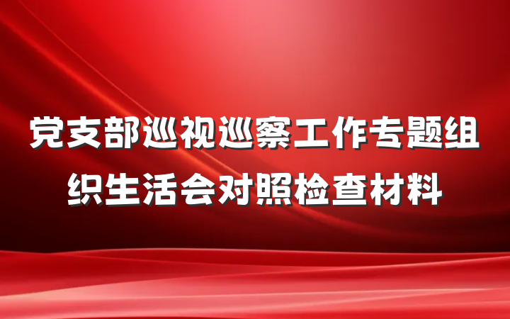 党支部巡视巡察工作专题组织生活会对照检查材料