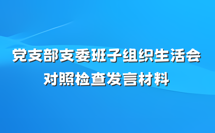 党支部支委班子组织生活会对照检查发言材料