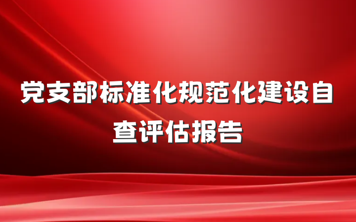 党支部标准化规范化建设自查评估报告