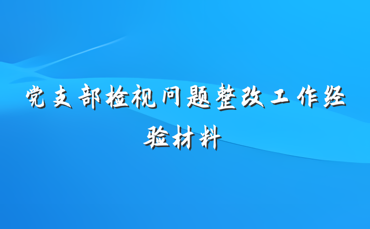 党支部检视问题整改工作经验材料