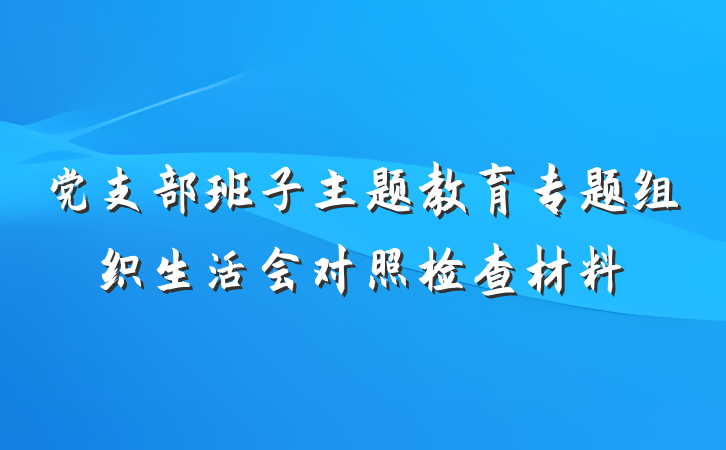党支部班子主题教育专题组织生活会对照检查材料